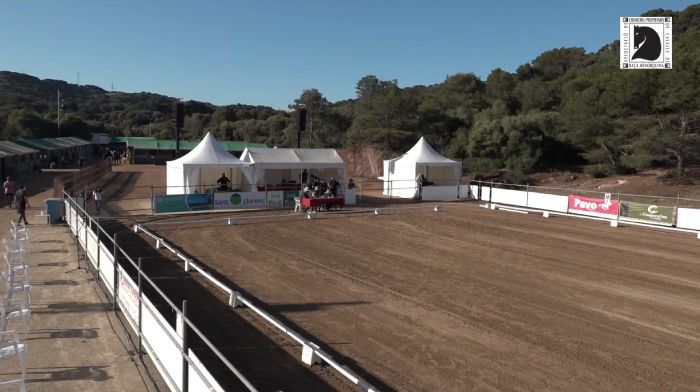 Retransmisión en directo de concurso morfológico de caballos de raza menorquina
