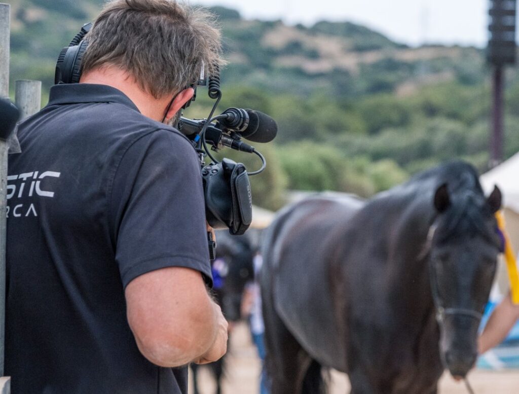 Retransmisión en directo de concurso morfológico de caballos de raza menorquina