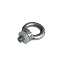 ASTERA FP1-EBLT EYEBOLT M5  - Cáncamo con rosca M5 para tubos TITAN TUBE