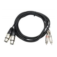 Cable 2 x RCA (m) @  2 x XLR (h)